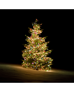 DELTACO SMART HOME WiFi Tree light,270L,10 strings,RGB,adapte